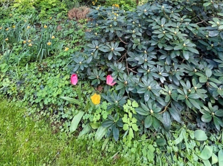 Gr�nes blumiges Grundst�ck Einfamilienhaus Teichland