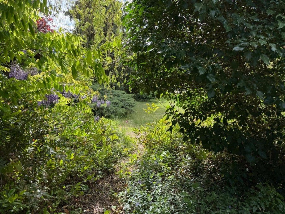 kleiner Pfad Einfamilienhaus Cottbus
