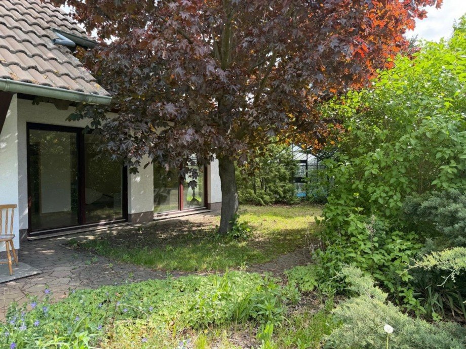 Blick zum �berdachten Pool Einfamilienhaus Cottbus