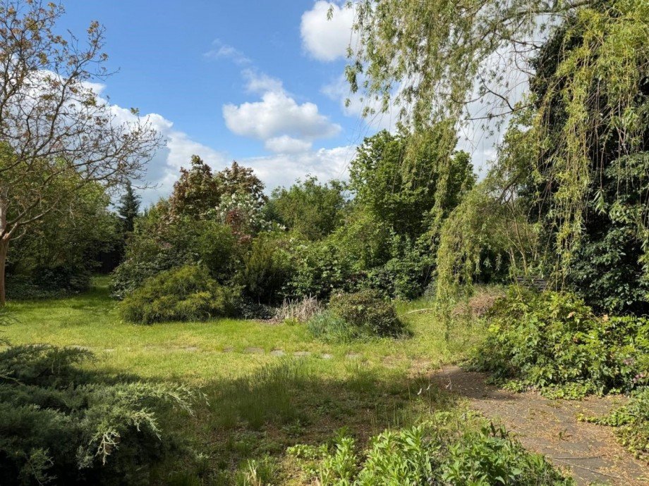 Park Einfamilienhaus Cottbus
