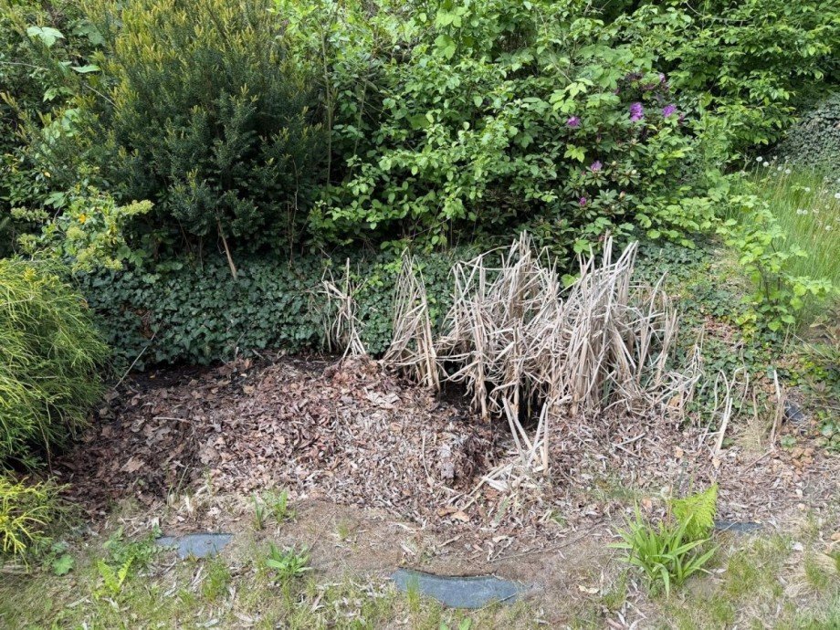 kleiner Teich trocken Einfamilienhaus Cottbus