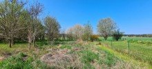BGS Klein D�bbern Sch�nes gro�es Baugrundst�ck in ruhiger und gr�ner Lage