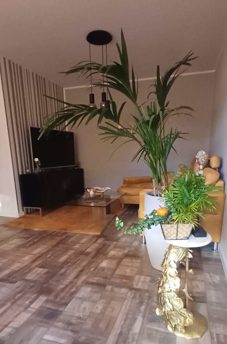 Wohnzimmer mit Parkett Dachgeschosswohnung Cottbus